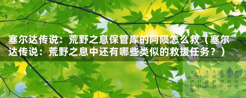 塞尔达传说：荒野之息保管库的阿陨怎么救（塞尔达传说：荒野之息中还有哪些类似的救援任务？）