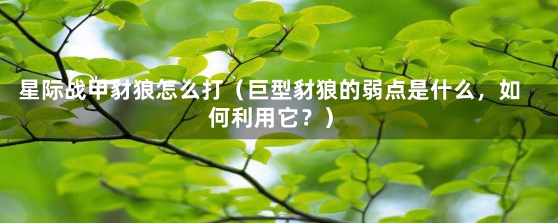 星际战甲豺狼怎么打（巨型豺狼的弱点是什么，如何利用它？）