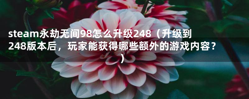 steam永劫无间98怎么升级248（升级到248版本后，玩家能获得哪些额外的游戏内容？）