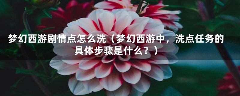 梦幻西游剧情点怎么洗（梦幻西游中，洗点任务的具体步骤是什么？）