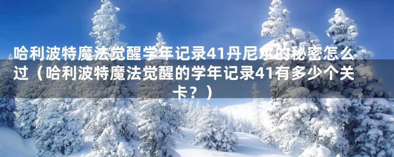 哈利波特魔法觉醒学年记录41丹尼尔的秘密怎么过（哈利波特魔法觉醒的学年记录41有多少个关卡？）