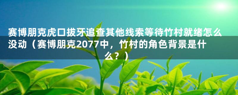 赛博朋克虎口拔牙追查其他线索等待竹村就绪怎么没动（赛博朋克2077中，竹村的角色背景是什么？）