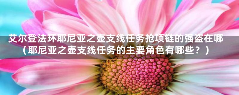 艾尔登法环耶尼亚之壶支线任务抢项链的强盗在哪（耶尼亚之壶支线任务的主要角色有哪些？）