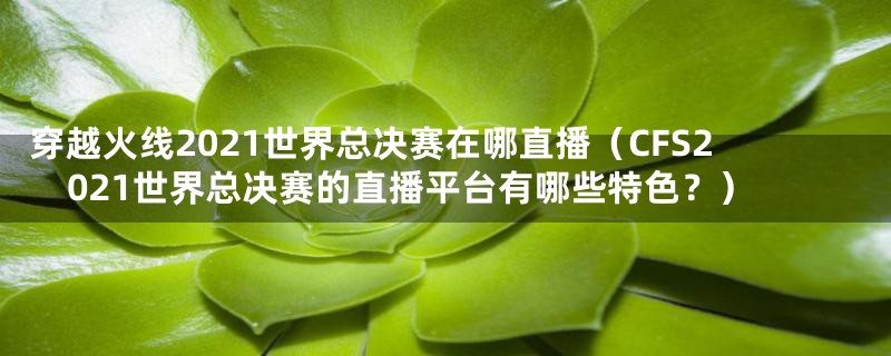 穿越火线2021世界总决赛在哪直播（CFS2021世界总决赛的直播平台有哪些特色？）