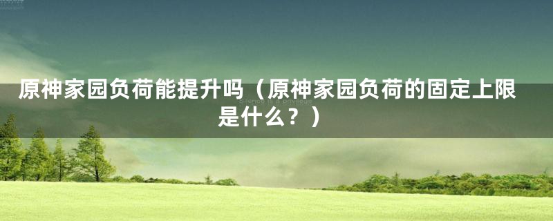 原神家园负荷能提升吗（原神家园负荷的固定上限是什么？）