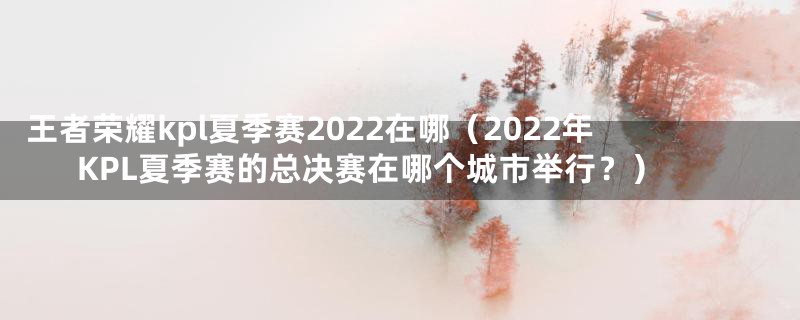 王者荣耀kpl夏季赛2022在哪（2022年KPL夏季赛的总决赛在哪个城市举行？）