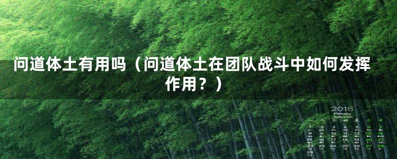 问道体土有用吗（问道体土在团队战斗中如何发挥作用？）