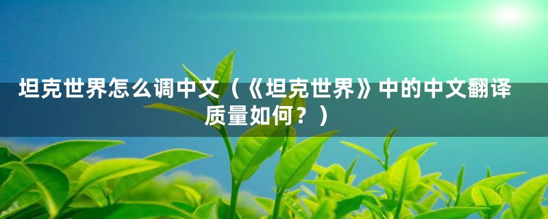 坦克世界怎么调中文（《坦克世界》中的中文翻译质量如何？）