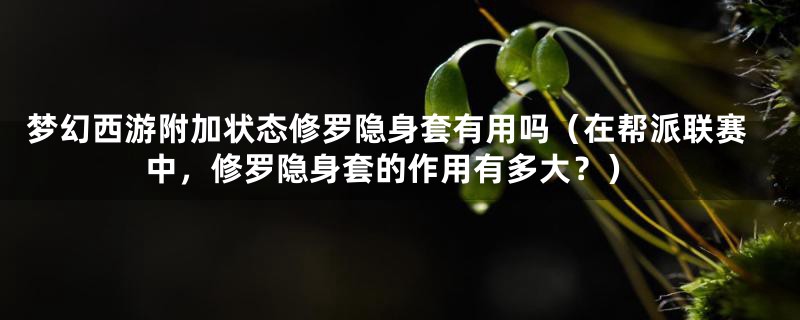 梦幻西游附加状态修罗隐身套有用吗（在帮派联赛中，修罗隐身套的作用有多大？）