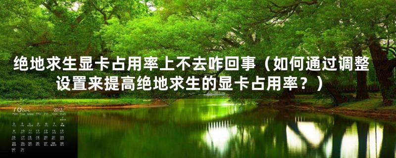 绝地求生显卡占用率上不去咋回事（如何通过调整设置来提高绝地求生的显卡占用率？）