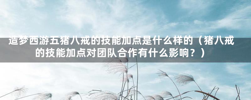 造梦西游五猪八戒的技能加点是什么样的（猪八戒的技能加点对团队合作有什么影响？）