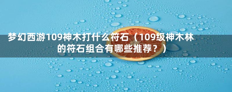 梦幻西游109神木打什么符石（109级神木林的符石组合有哪些推荐？）