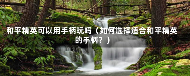 和平精英可以用手柄玩吗（如何选择适合和平精英的手柄？）