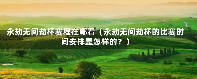 永劫无间劫杯赛程在哪看（永劫无间劫杯的比赛时间安排是怎样的？）