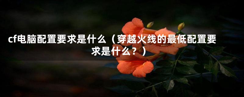 cf电脑配置要求是什么（穿越火线的最低配置要求是什么？）