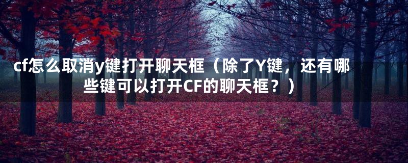 cf怎么取消y键打开聊天框（除了Y键，还有哪些键可以打开CF的聊天框？）