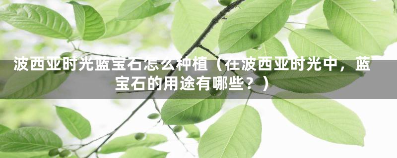 波西亚时光蓝宝石怎么种植（在波西亚时光中，蓝宝石的用途有哪些？）