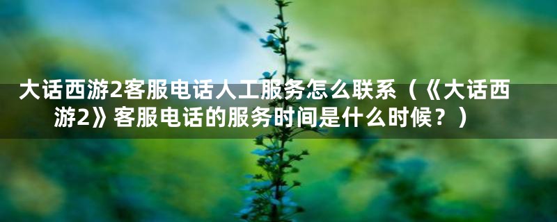 大话西游2客服电话人工服务怎么联系（《大话西游2》客服电话的服务时间是什么时候？）