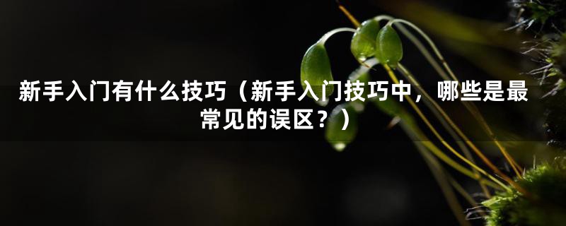 新手入门有什么技巧（新手入门技巧中，哪些是最常见的误区？）