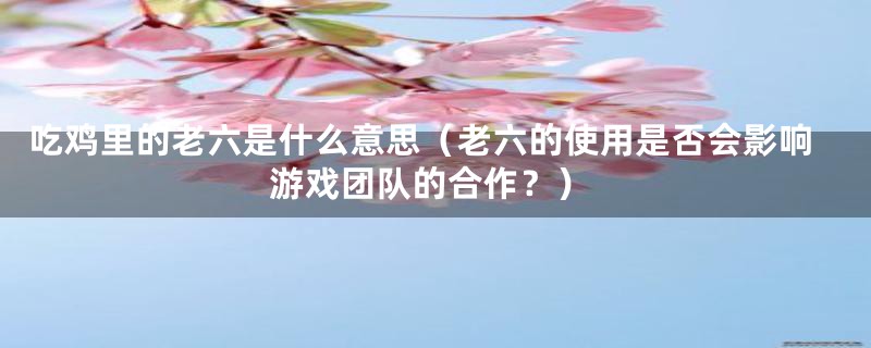 吃鸡里的老六是什么意思（老六的使用是否会影响游戏团队的合作？）