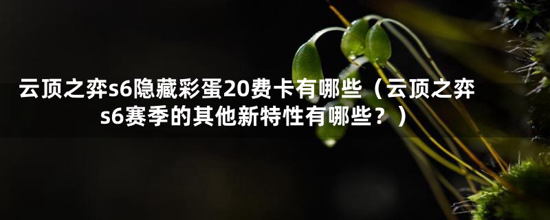 云顶之弈s6隐藏彩蛋20费卡有哪些（云顶之弈s6赛季的其他新特性有哪些？）