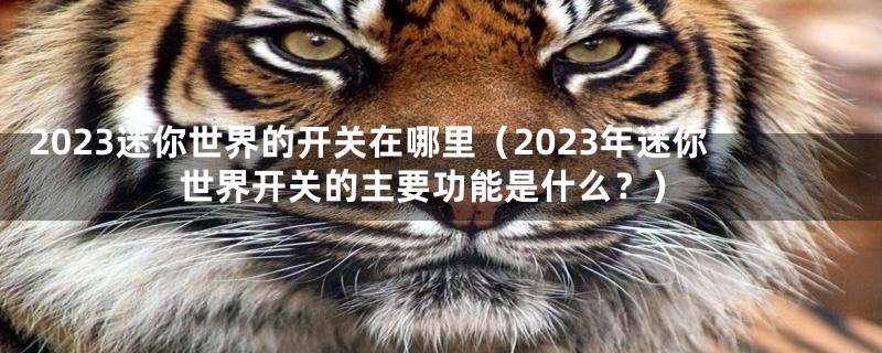 2023迷你世界的开关在哪里（2023年迷你世界开关的主要功能是什么？）