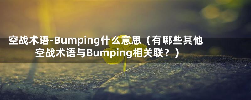 空战术语-Bumping什么意思（有哪些其他空战术语与Bumping相关联？）