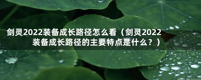 剑灵2022装备成长路径怎么看（剑灵2022装备成长路径的主要特点是什么？）