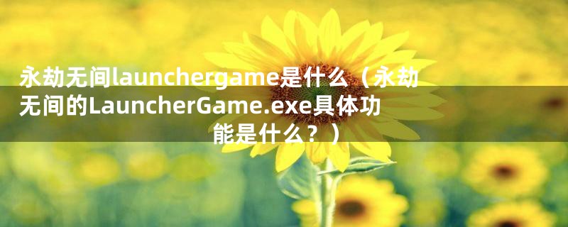 永劫无间launchergame是什么（永劫无间的LauncherGame.exe具体功能是什么？）