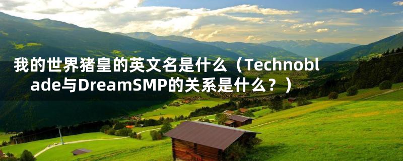 我的世界猪皇的英文名是什么（Technoblade与DreamSMP的关系是什么？）