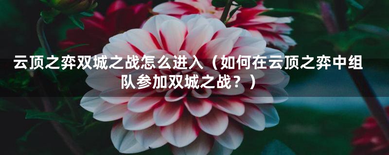 云顶之弈双城之战怎么进入（如何在云顶之弈中组队参加双城之战？）