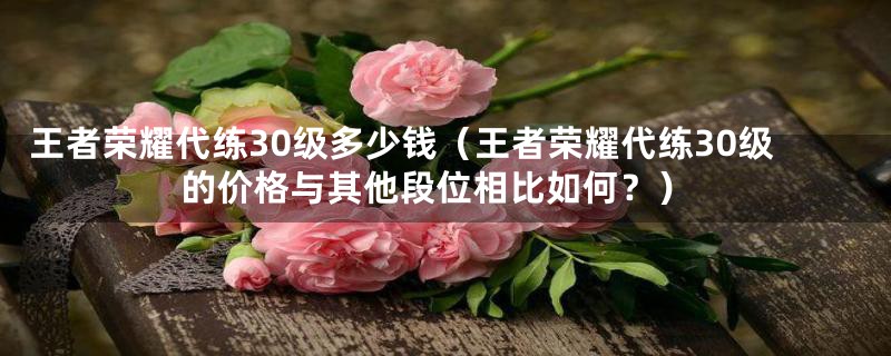 王者荣耀代练30级多少钱（王者荣耀代练30级的价格与其他段位相比如何？）