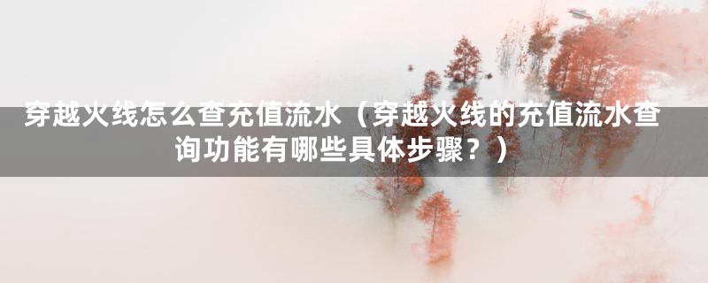 穿越火线怎么查充值流水（穿越火线的充值流水查询功能有哪些具体步骤？）