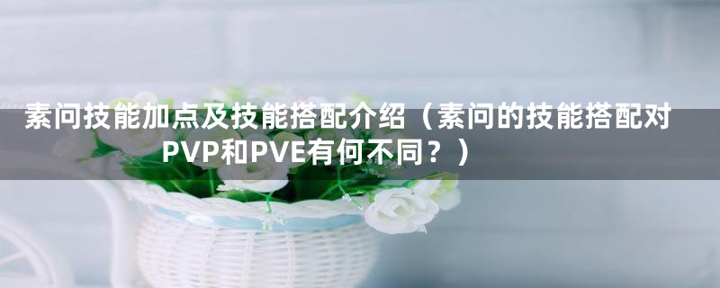 素问技能加点及技能搭配介绍（素问的技能搭配对PVP和PVE有何不同？）