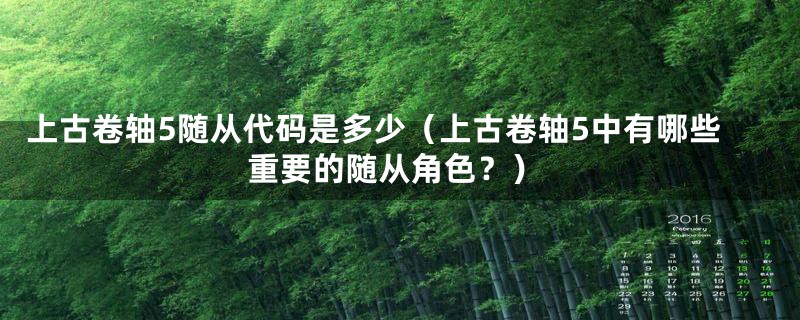 上古卷轴5随从代码是多少（上古卷轴5中有哪些重要的随从角色？）