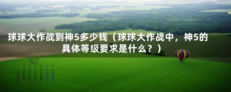 球球大作战到神5多少钱（球球大作战中，神5的具体等级要求是什么？）