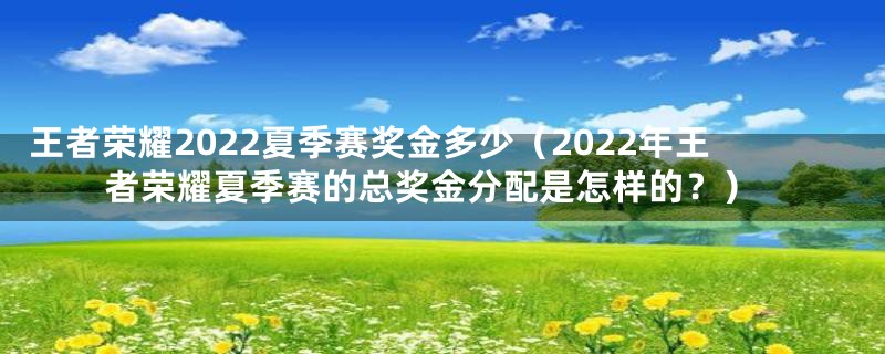 王者荣耀2022夏季赛奖金多少（2022年王者荣耀夏季赛的总奖金分配是怎样的？）