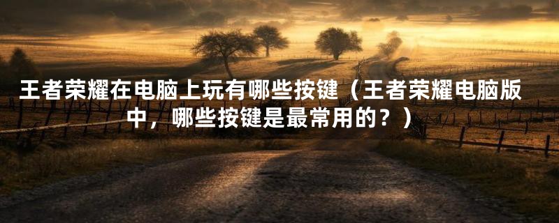 王者荣耀在电脑上玩有哪些按键（王者荣耀电脑版中，哪些按键是最常用的？）