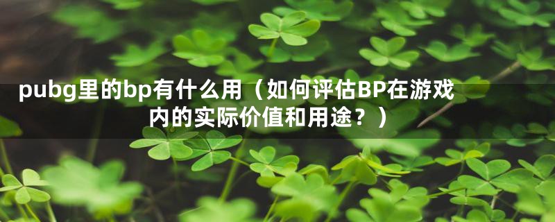 pubg里的bp有什么用（如何评估BP在游戏内的实际价值和用途？）