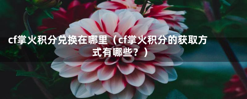 cf掌火积分兑换在哪里（cf掌火积分的获取方式有哪些？）