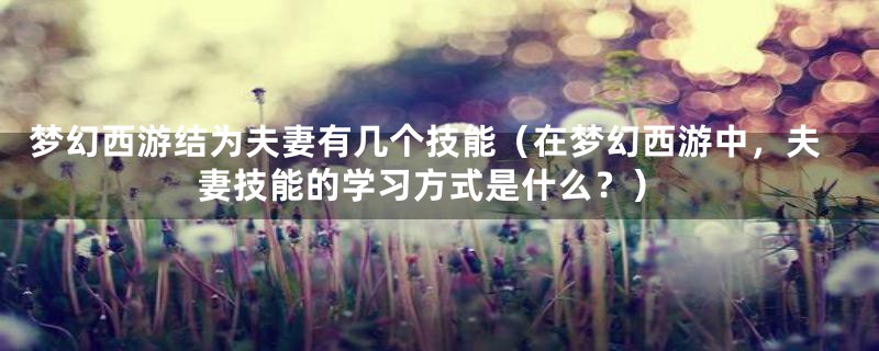 梦幻西游结为夫妻有几个技能（在梦幻西游中，夫妻技能的学习方式是什么？）