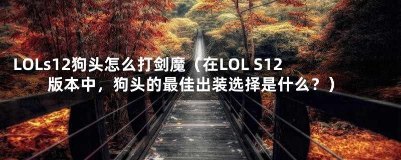 LOLs12狗头怎么打剑魔（在LOL S12版本中，狗头的最佳出装选择是什么？）