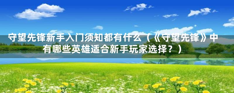 守望先锋新手入门须知都有什么（《守望先锋》中有哪些英雄适合新手玩家选择？）