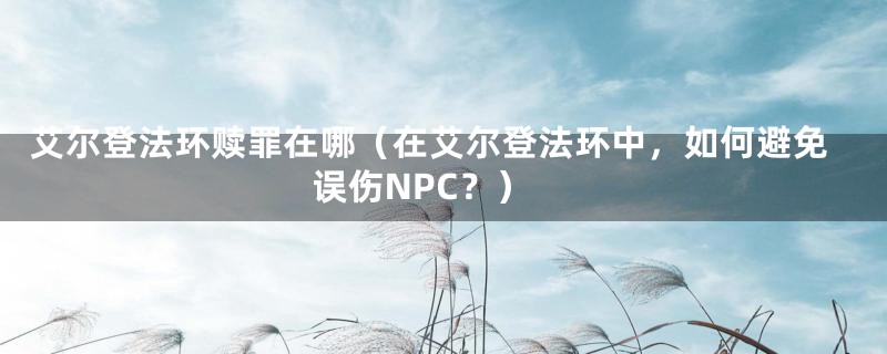 艾尔登法环赎罪在哪（在艾尔登法环中，如何避免误伤NPC？）