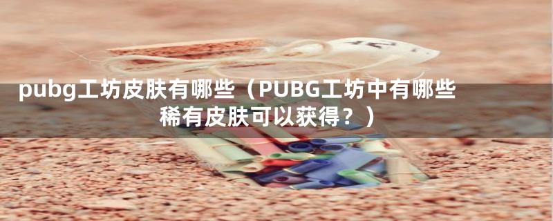 pubg工坊皮肤有哪些（PUBG工坊中有哪些稀有皮肤可以获得？）