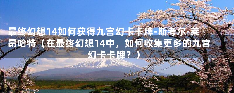 最终幻想14如何获得九宫幻卡卡牌-斯考尔·莱昂哈特（在最终幻想14中，如何收集更多的九宫幻卡卡牌？）