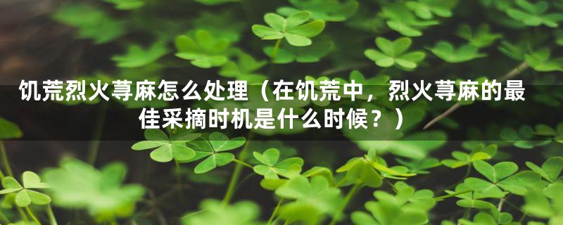 饥荒烈火荨麻怎么处理（在饥荒中，烈火荨麻的最佳采摘时机是什么时候？）