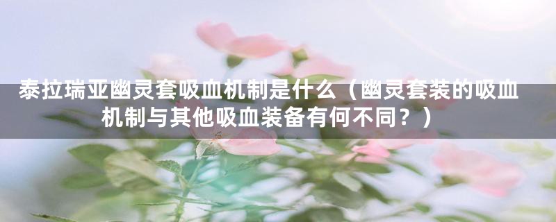 泰拉瑞亚幽灵套吸血机制是什么（幽灵套装的吸血机制与其他吸血装备有何不同？）