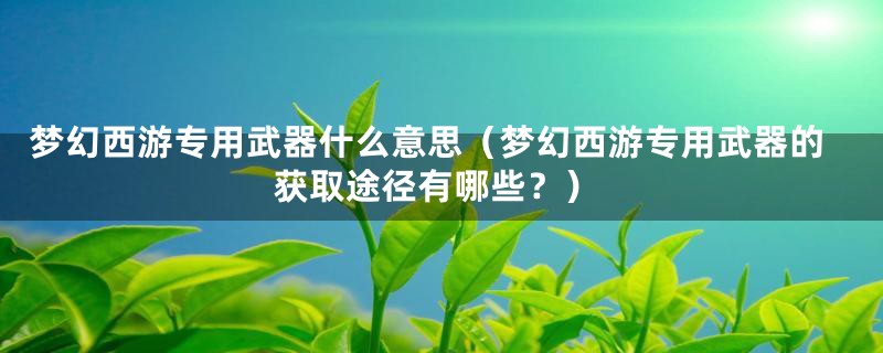 梦幻西游专用武器什么意思（梦幻西游专用武器的获取途径有哪些？）