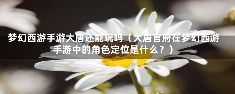 梦幻西游手游大唐还能玩吗（大唐官府在梦幻西游手游中的角色定位是什么？）